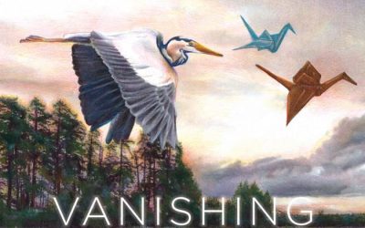 Vanishing