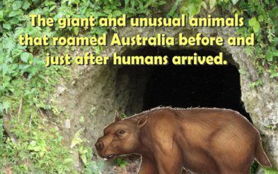 Meet the Megafauna