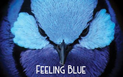 Feeling Blue