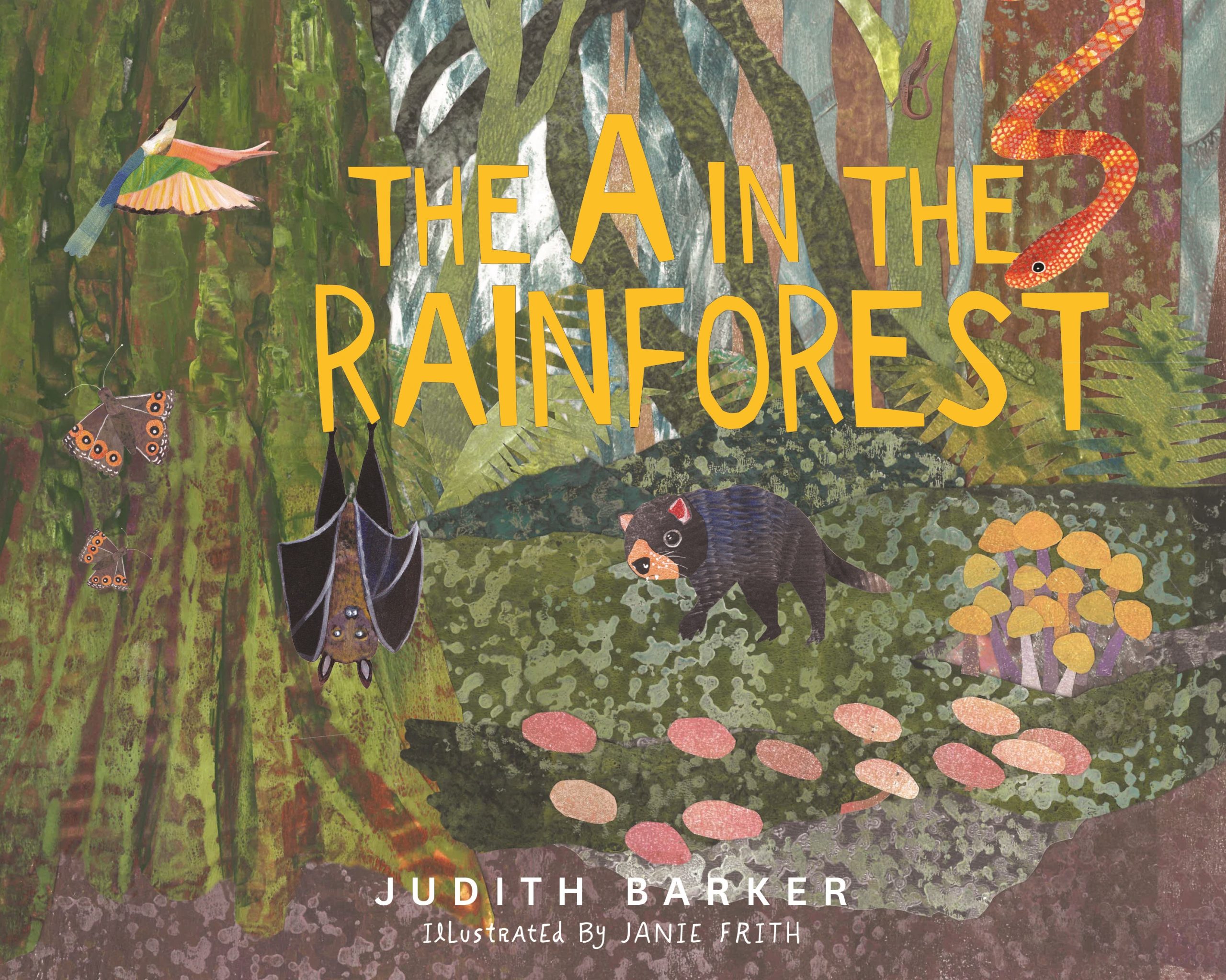The A in the Rainforest book cover