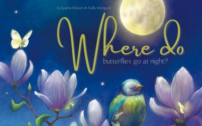 Where do Butterflies go at Night?