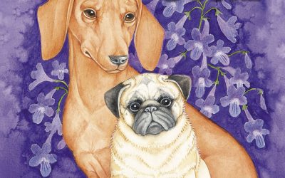 Butterfly and Oscar